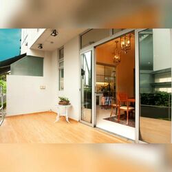 Whitley Road (D11), Terrace #546983611